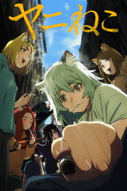 Chainsmoker Cat